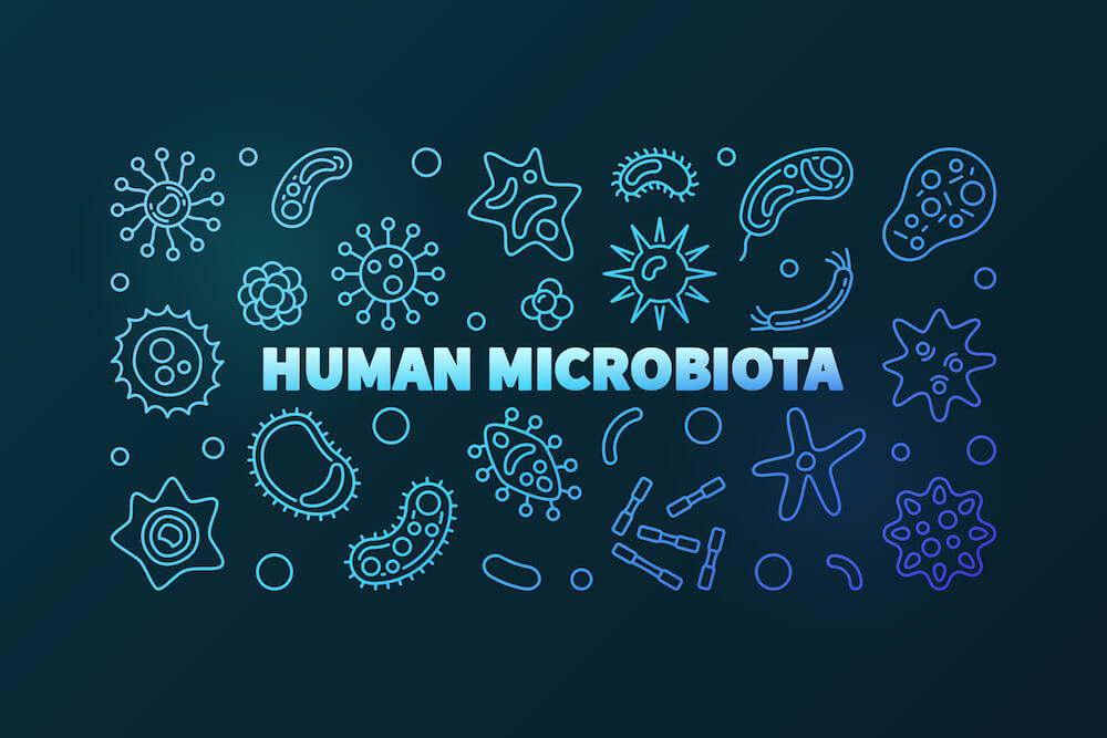 probiotics microbiota